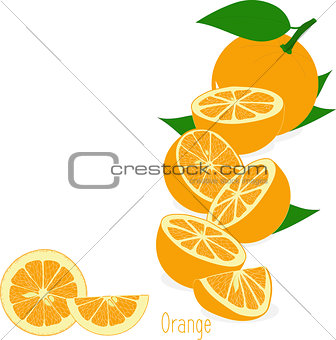 Orange slices, collection of vector illustrations