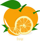 Orange slices, collection of vector illustrations