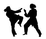 Women karate fight