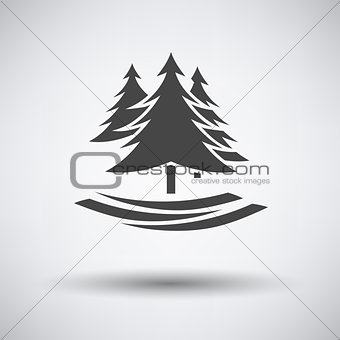 Fir forest  icon
