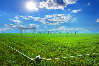 black and white soccer ball on the field