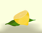 Lemon sliced with leaves