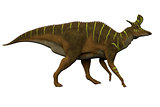 Lambeosaurus Side Profile