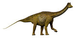 Nigersaurus Side Profile