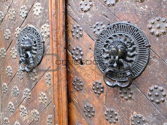 Iron lion knockers on a wooden door