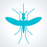 Mosquito aedes, zika virus.