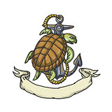 Ridley Sea Turtle on Anchor Drawing