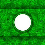 Green Leaves Pattern. Evergreen Hedgegrow