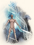 3D sketched medical background with male figure and DNA Strands