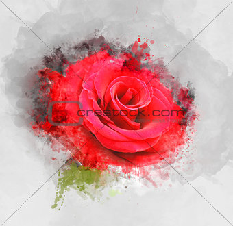 Grunge rose background