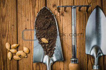 Still-life with seeds and the garden tool, the top view