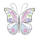 butterfly vector 7