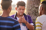 Group Of Teens Boy Smoking Cigarette With Friends