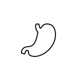 Flat vector human stomach icon