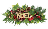 Winter Flora and Noel Decoration