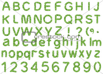 Spruce alphabet isolated on white background. Letter fir branch and pine number