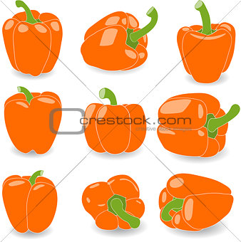 Pepper, set of orange peppers, vector illustration on a transparent background