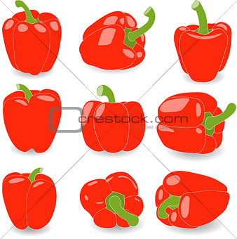 Pepper, set of red peppers, vector illustration on a transparent background