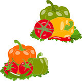 Set of peppers and tomato, vector illustration, isolated, on white background