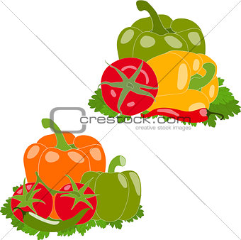 Set of peppers and tomato, vector illustration, isolated, on white background