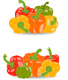 Pepper, set of yellow, red, green and orange peppers, parsley leaves, vector illustration on a transparent background
