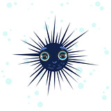 Sea Urchin Drawing