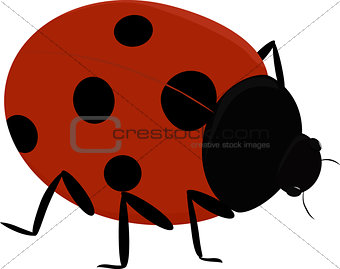 illustration of a cute insect - Ladybug
