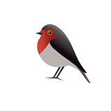 Robin Bird Vector Clipart