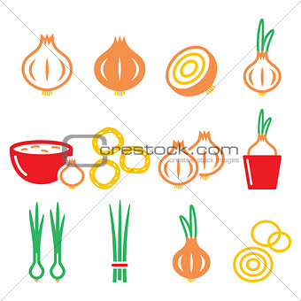 Onion, spring onions colorful icons set