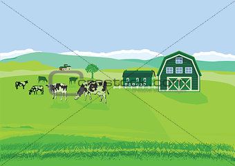 Cows on pasture with farm