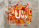 Autumn foliage, banner for your design