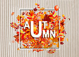 Autumn foliage, banner for your design