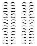 Types of eyebrows