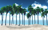 3D palm tree landscape