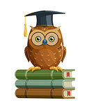 Clever owl sitting on books. Education.