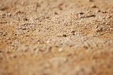 sand macro-backround