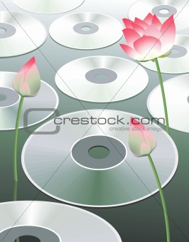 Discs and lotus