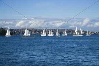 Sailboats, Sydney, Australia.