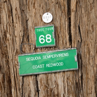 Redwood tree sign