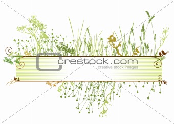 grass frame / vector 