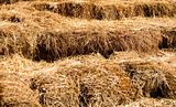 Bales of Straw
