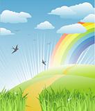 grass, birds and rainbow landscape / vector