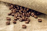 Coffee beans on canvas