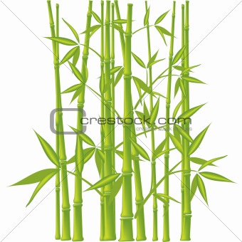 Bamboo,  vector (mesh)