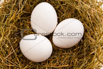 Three white eggs in a nest