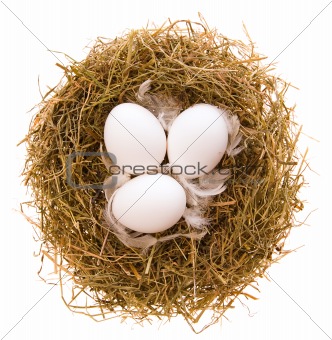 Nest and eggs