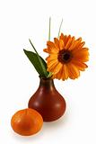 composition with gerber daisy in vase and tangerine
