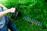 young man pruning a hedge