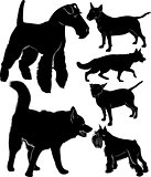 dog collection shepherd dog bullterrier laika fox terrier Miniature Schnauzer. dogs vector black silhouettes isolated on a black background