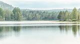 Lake with Forest 